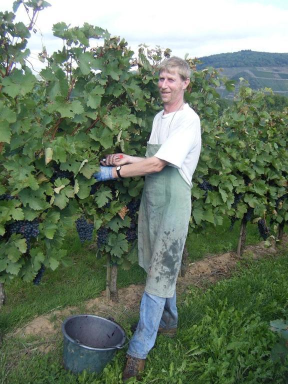 Ferienweingut Hensler Hotel Briedel Eksteriør billede